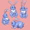 Hares in different poses. Four vector character. Outlined colored drawing