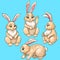 Hares in different poses. Four vector character. Outlined colored drawing