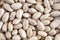 Haricot beans close-up shot. Common white beans. Food backgrounds.