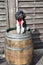 Harlequin poodle sitting on wine barrel