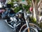 Harley Davidson Heritage Softail Classic parked in the shade