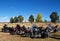 Harley Davidson motorcycles with snow covered mountains in fall