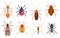 Harmful insects. Pests ants centipedes roaches bugs sprayers exact vector cartoon template protection form insects