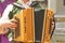 Harmonica or accordion musical instrument