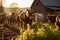 Harmonious Farmyard: Horses, Cows, Pigs, and Chickens Grazing in Golden Afternoon Light