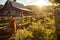 Harmonious Farmyard: Horses, Cows, Pigs, and Chickens Grazing in Golden Afternoon Light