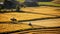 Harmonious Horseback Ride Through Colorful Rice Fields