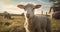 The harmonious interactions and life of farm animals, showcasing the simplicity and beauty of rural life. Generative AI