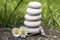 Harmony and balance, simple pebbles tower and daisy flowers in bloom in the grass, simplicity, five stones