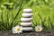 Harmony and balance, simple pebbles tower and daisy flowers in bloom in the grass, simplicity, five stones