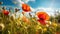 Harmony of Colors: Poppies, Butterfly, and the Azure Sky