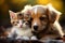 Harmony in fur a kitty and puppy create a heartwarming scene together