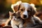 Harmony in fur a kitty and puppy create a heartwarming scene together