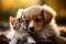 Harmony in fur a kitty and puppy create a heartwarming scene together