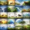 Harmony of Life: Concept Art Featuring Earth and Animal Life in Various Environments â€“ Ideal for Earth and Nature Themes