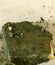 The harms of consuming green moldy cheese