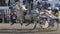 Harness horses trot in front of tribune on a stadium (slow motion)