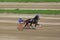 Harness racing