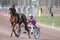 Harness racing in Sweden