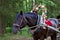 Harnessed black horse with flower-decorated wooden collar.