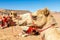 Harnessed cute riding camels resting in the desert, Al Ula, Saudi Arabia