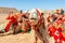 Harnessed cute riding camels resting in the desert, Al Ula, Saudi Arabia