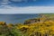 Haroldstone Chins Wales Coast Path near Broad haven