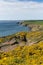 Haroldstone Chins Wales Coast Path near Broad haven