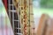 Harp Music Instrument and Strings with Shallow Depth Of Field.