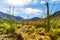 Harquahala Trail Arizona