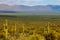 Harquahala Trail in Arizona