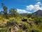 Harquahala Trail Arizona