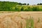 Harquency; France - july 19 2019 : landscape near the la Grange de Bourgoult