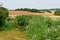 Harquency France - july 19 2019 : landscape near the la Grange de Bourgoult