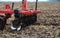 The harrow disc. Agricultural equipment.