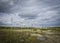 A harsh landscape - power transmission towers extending into the distance