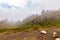 harsh mountain wilderness covered in fog