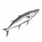 Harsh Realism Sketch Of Sardine Fishes: Detailed Anatomy In White And Silver