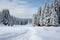 Harsh winter scene with snow covered pine trees in the highlands