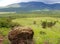 Hart Prairie, San Francisco Peaks