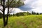 Hart Prairie, San Francisco Peaks