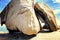 Hart of stone in Remarkable Rocks, Kangaroo Island, Australia