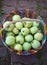 harvest of antonovka apples in a wire basket on a tiled garden path