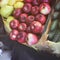 Harvest. Apples, cucumbers and canned