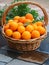 Harvest Basket Filled with Fresh Picked Valencia Oranges
