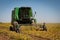 Harvest Bean crop