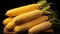 Harvest Beauty: Bunch of Dried Corn Cobs