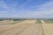 Harvest Cornfield in Germnay