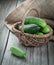 Harvest cucumbers in a basket