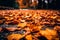 Harvest Delight: Up Close with Autumn\\\'s Treasures